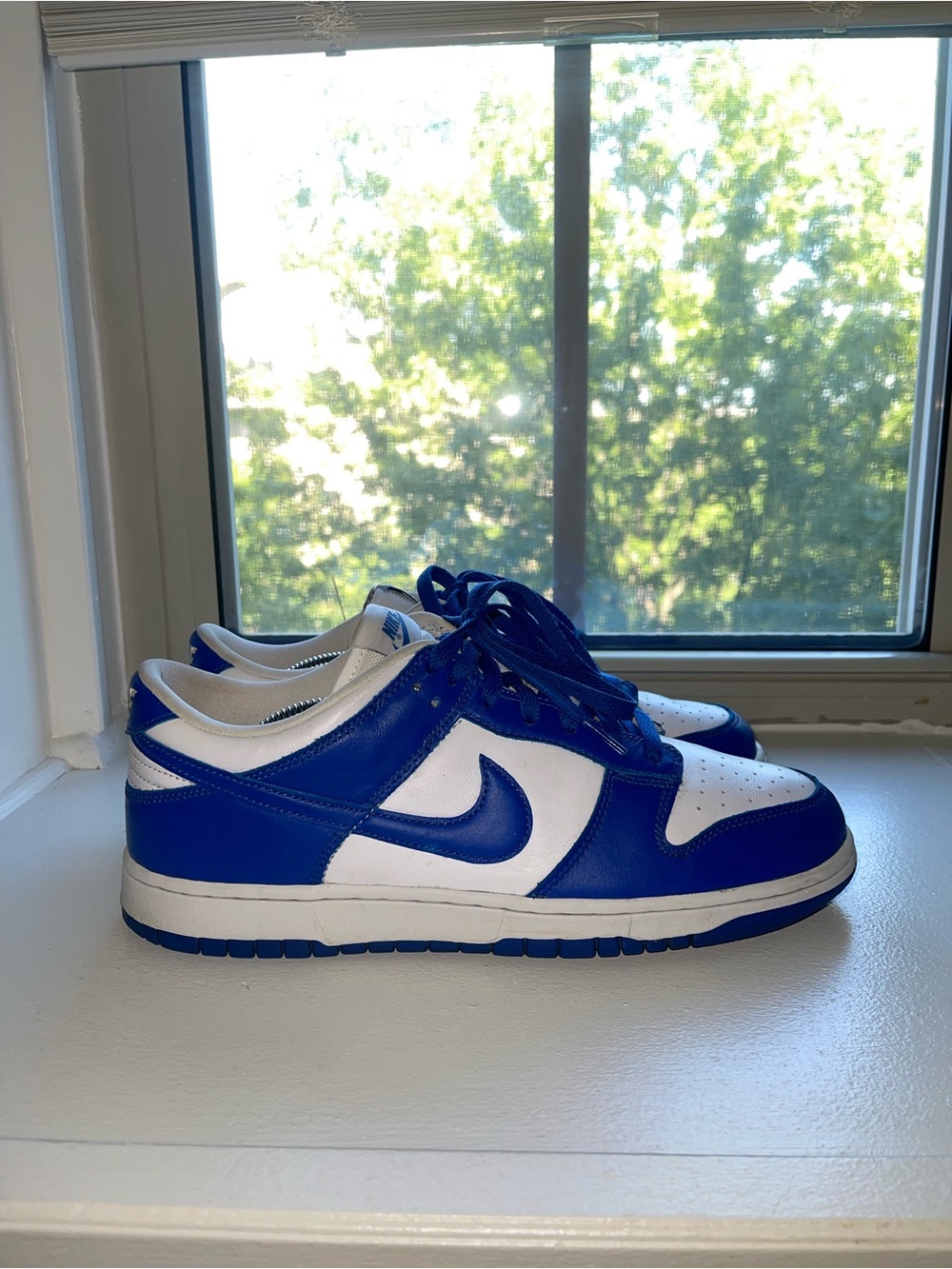 Nike Dunk Low